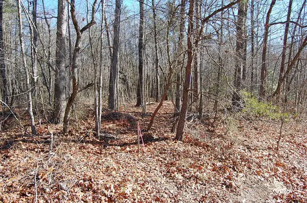 4 Henson Gap Road, Soddy Daisy, TN 37379