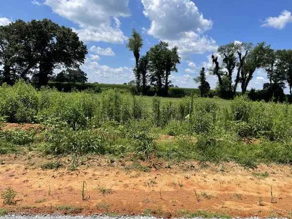 0 Hidden Hills Lane, Summertown, TN 38483