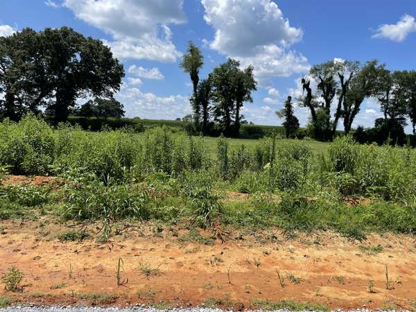 0 Hidden Hills Lane, Summertown, TN 38483