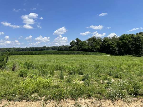 0 Hidden Hills Lane, Summertown, TN 38483