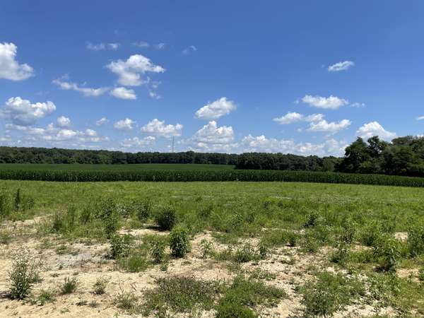 0 Hidden Hills Lane, Summertown, TN 38483