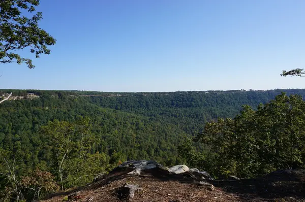 0 Crockett Point, Jasper, TN 37347