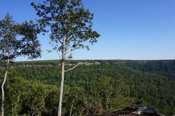 0 Crockett Point, Jasper, TN 37347
