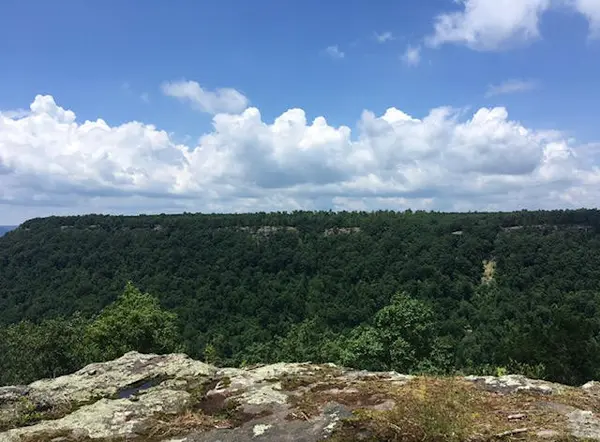 0 Crockett Point, Jasper, TN 37347