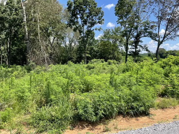 0 Hidden Hills Lane, Summertown, TN 38483