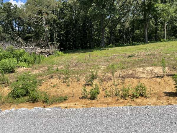 0 Hidden Hills Lane, Summertown, TN 38483