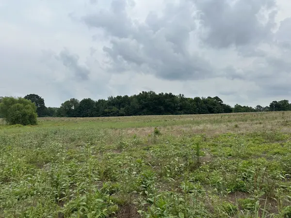 0 Clarksville Pike, Joelton, TN 37080