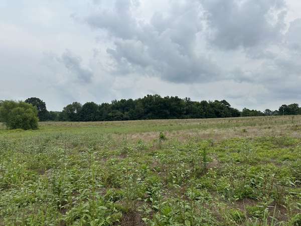 0 Clarksville Pike, Joelton, TN 37080