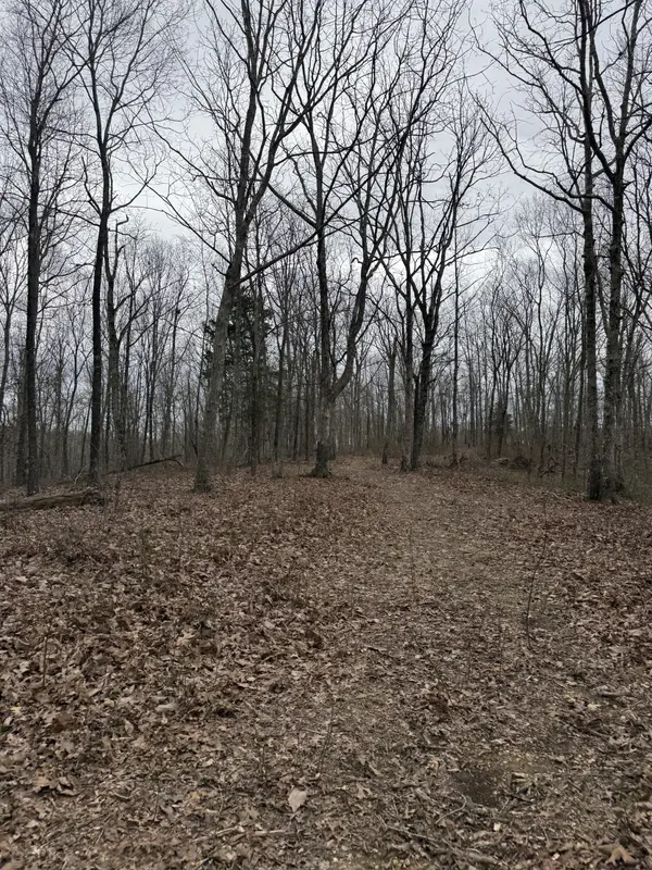 0 Bear Creek Lot 53 Rd, Waverly, TN 37185