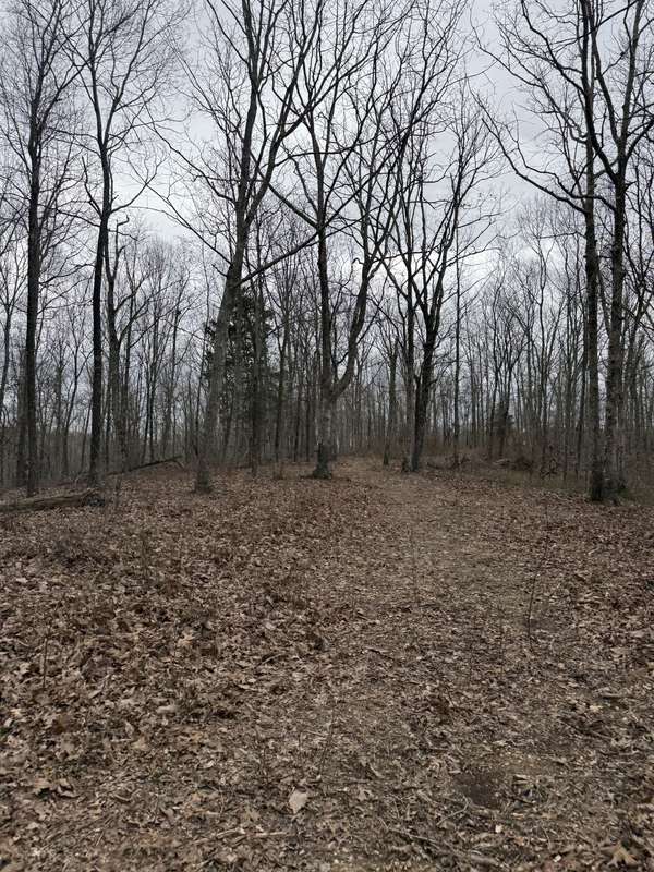 0 Bear Creek Rd, Waverly, TN 37185