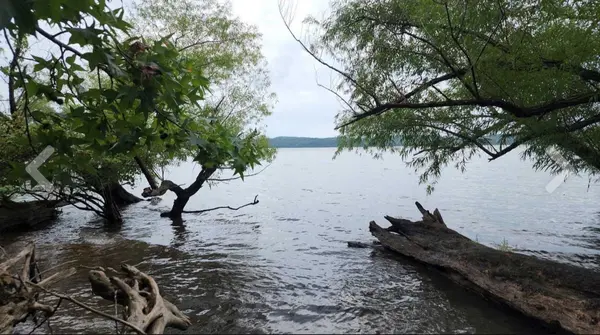 0 Bear Creek Lot 53 Rd, Waverly, TN 37185