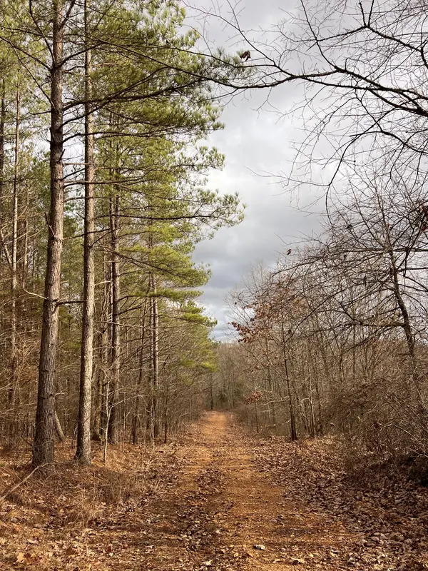 0 Bear Creek Lot 53 Rd, Waverly, TN 37185