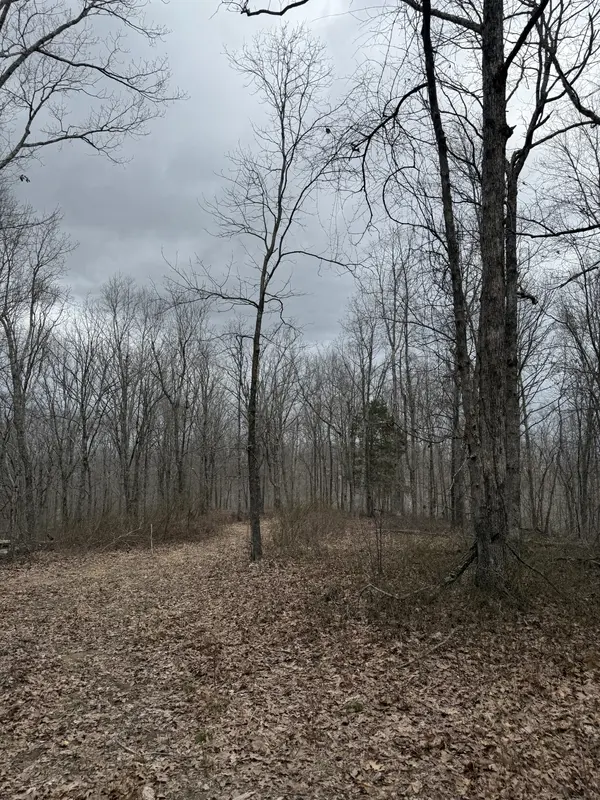 0 Bear Creek Lot 53 Rd, Waverly, TN 37185