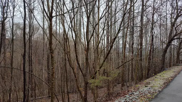 35 Bay View Dr, Lancaster, TN 38569