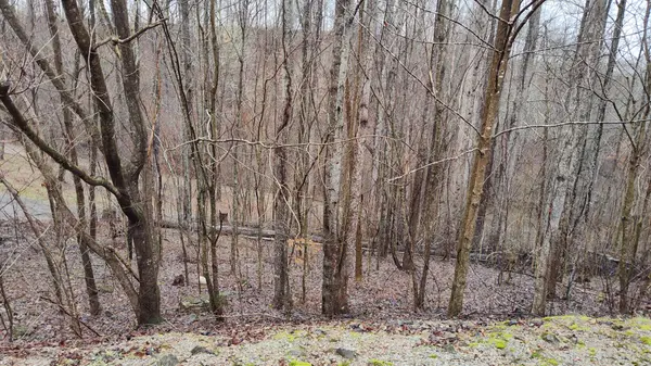 35 Bay View Dr, Lancaster, TN 38569