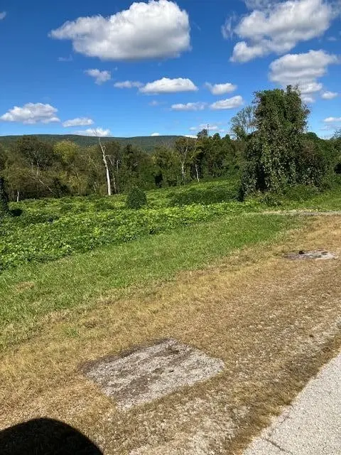 0 Rhea County Hwy  Hwy 27, Spring City, TN 37381