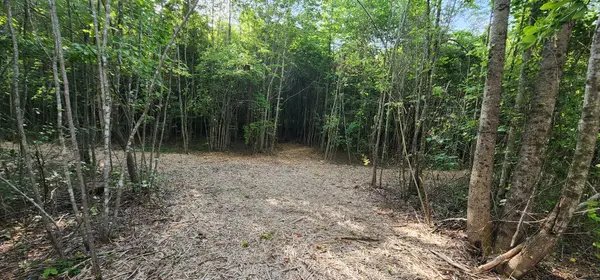 0 Tootley Campbell Rd, Monteagle, TN 37356