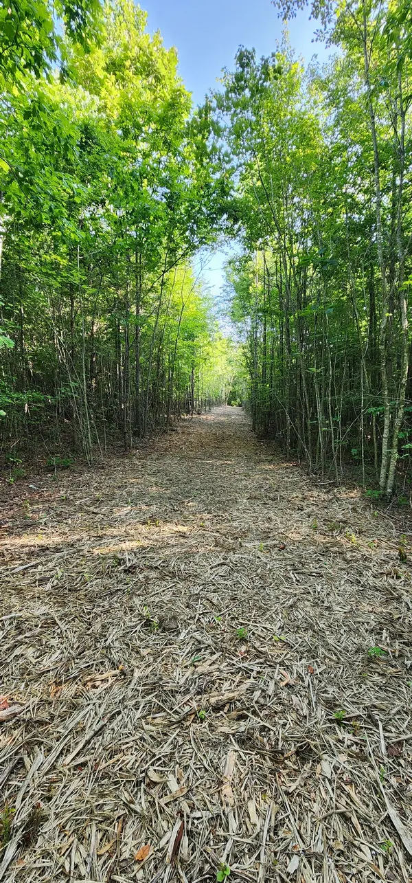 0 Tootley Campbell Rd, Monteagle, TN 37356