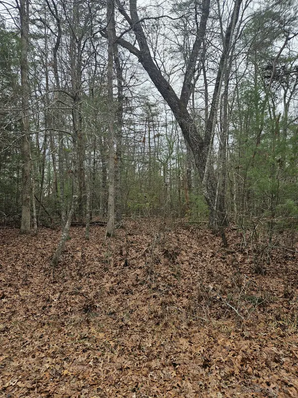 5053 Broken Bow Drive, Crossville, TN 38572