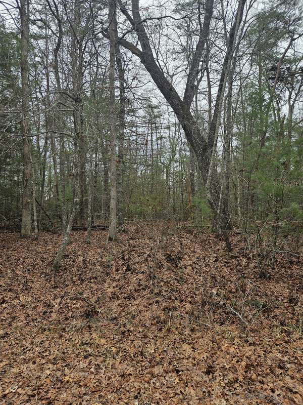 5053 Broken Bow Drive, Crossville, TN 38572