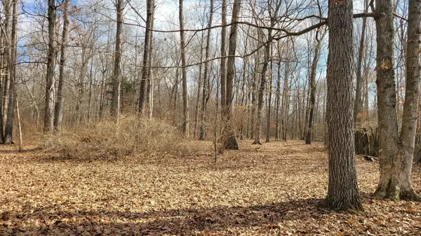 320 Pass Rd, Shelbyville, TN 37160