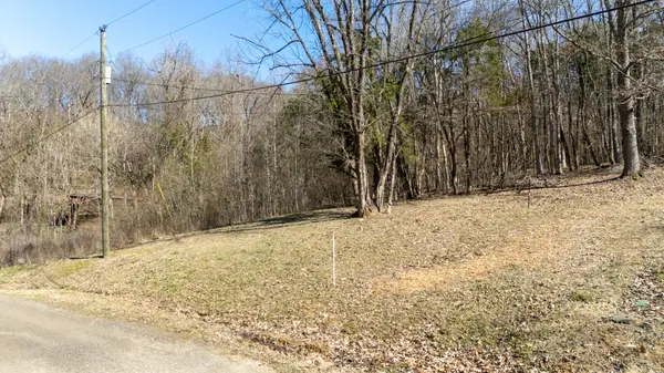 0 Salt Ln, Savannah, TN 38372