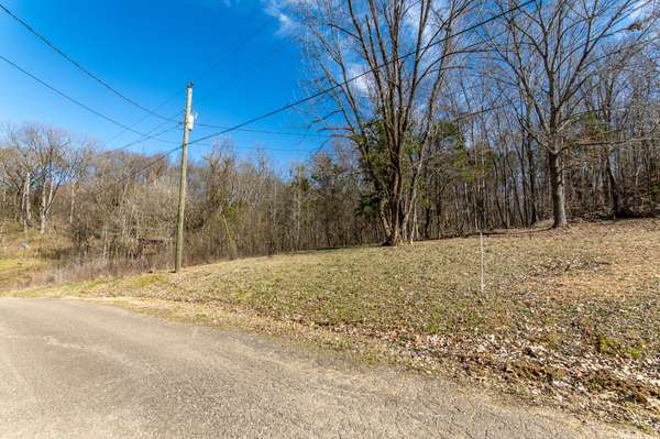 0 Salt Ln, Savannah, TN 38372
