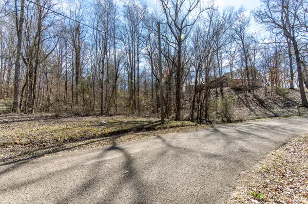0 Salt Ln, Savannah, TN 38372