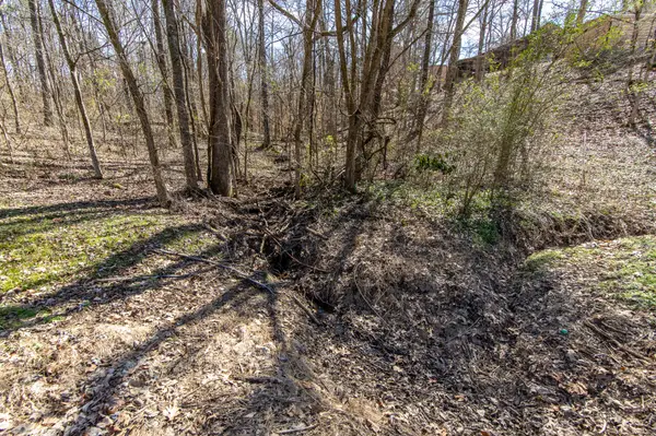 0 Salt Ln, Savannah, TN 38372