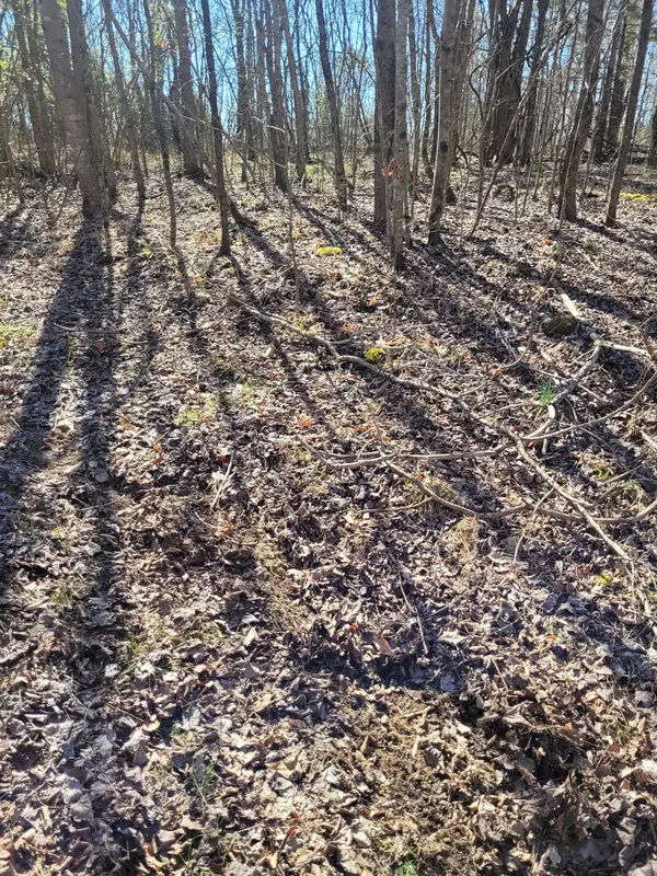 0 Cowhorne Hollow Rd, Prospect, TN 38477