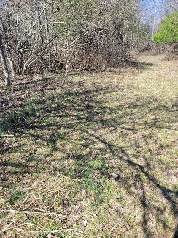 0 Cowhorne Hollow Rd, Prospect, TN 38477