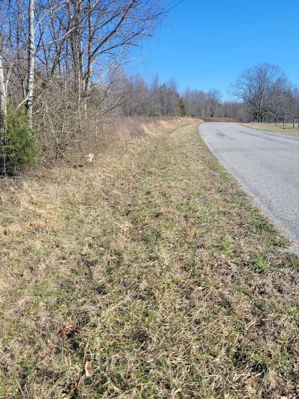 0 Cowhorne Hollow Rd, Prospect, TN 38477