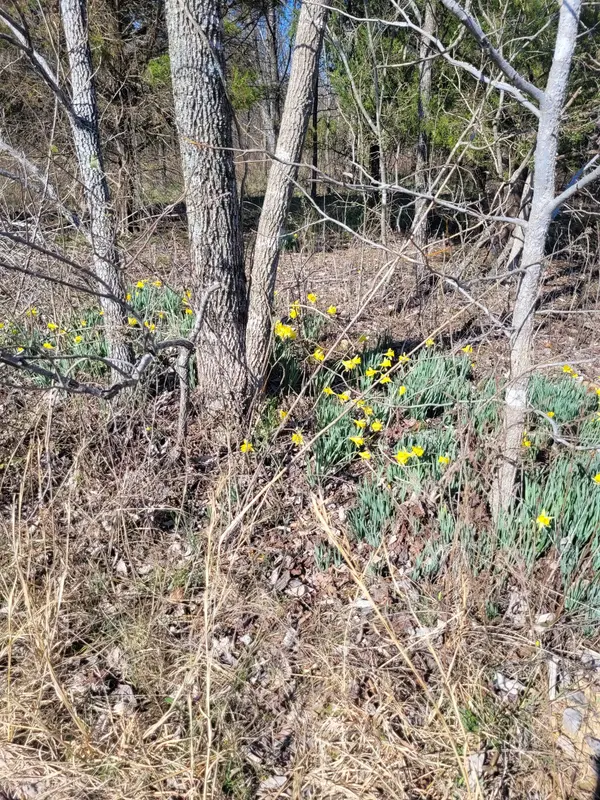 0 Cowhorne Hollow Rd, Prospect, TN 38477