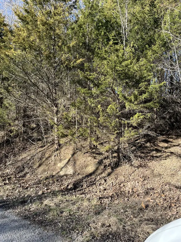 0 Davis Hollow, Dowelltown, TN 37059