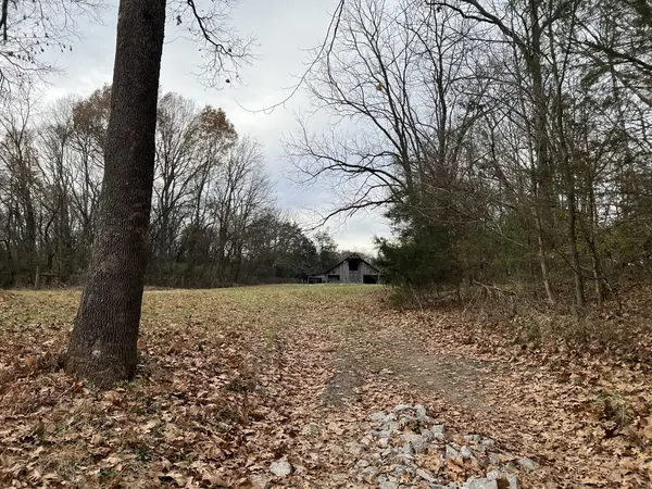 2 Pyles Rd, Chapel Hill, TN 37034