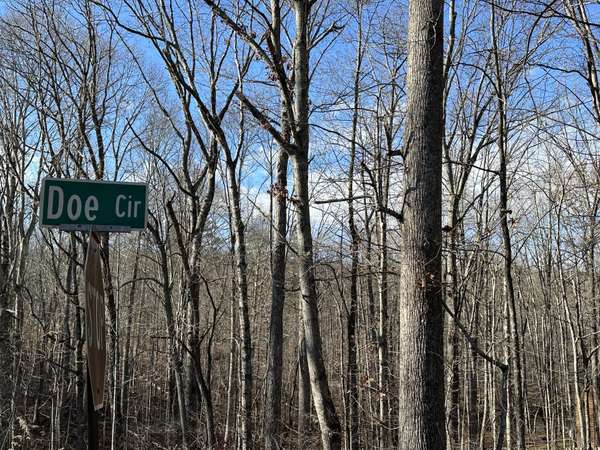 0 Doe Circle, Dunlap, TN 37327