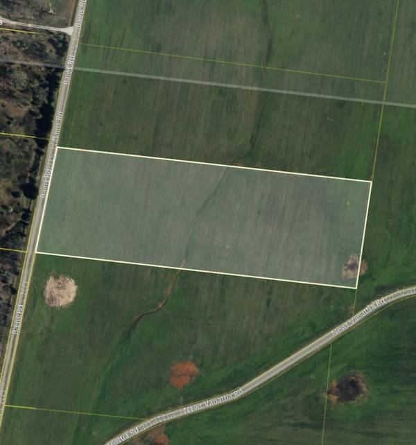 0 Bains Rd, Hillsboro, TN 37342