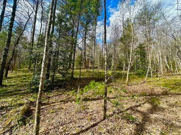144 Gunter Place Rd, Sunbright, TN 37872