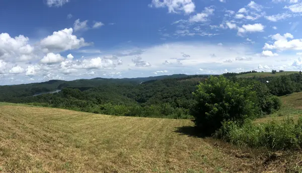 62A Catfish Ln, Celina, TN 38551