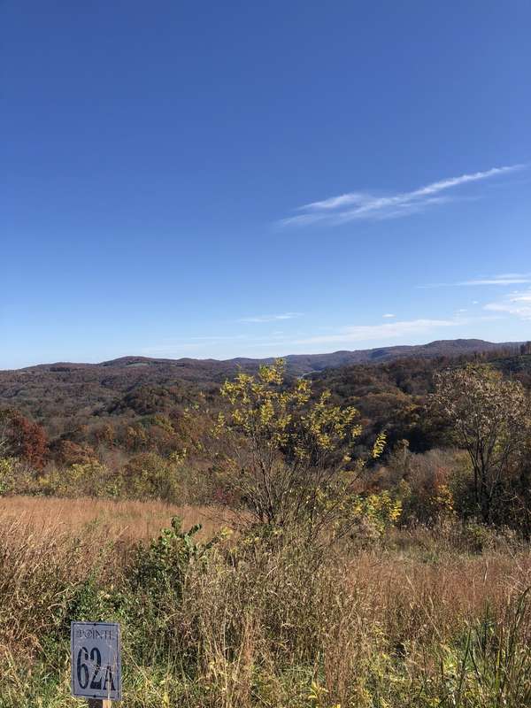 62A Catfish Ln, Celina, TN 38551