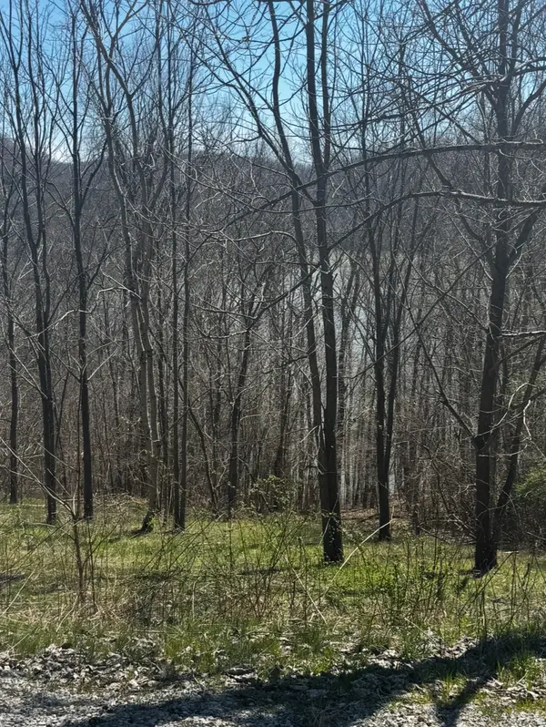 73 Waterwalk Ct, Smithville, TN 37166