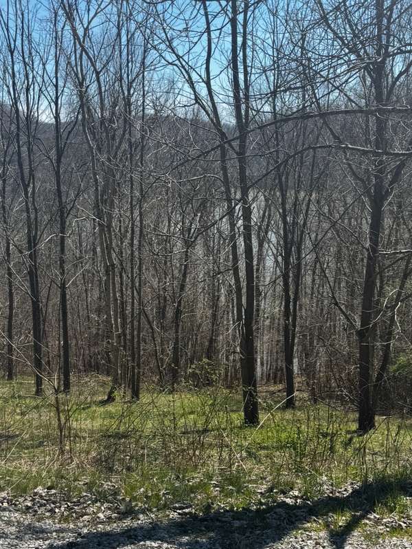 73 Waterwalk Ct, Smithville, TN 37166