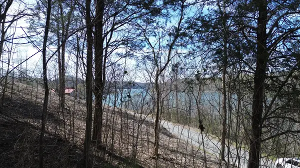 87 Harbor Pointe Dr, Silver Point, TN 38582