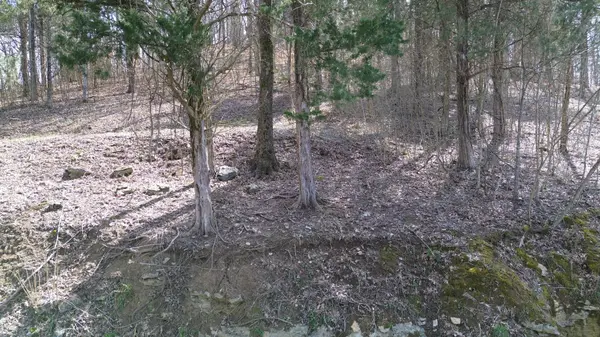 87 Harbor Pointe Dr, Silver Point, TN 38582