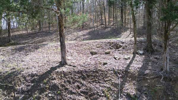 87 Harbor Pointe Dr, Silver Point, TN 38582