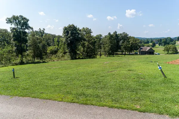 0 Bradley Ln, Bath Springs, TN 38311