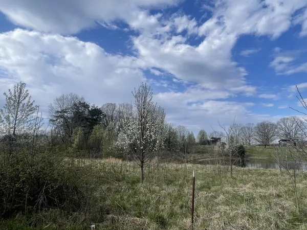2 Watson Loop, Pikeville, TN 37367