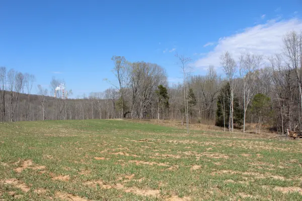 1 Grices Creek Rd, Cumberland City, TN 37050