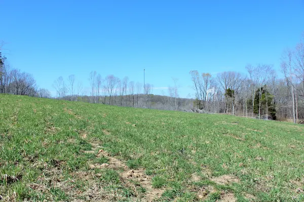 1 Grices Creek Rd, Cumberland City, TN 37050