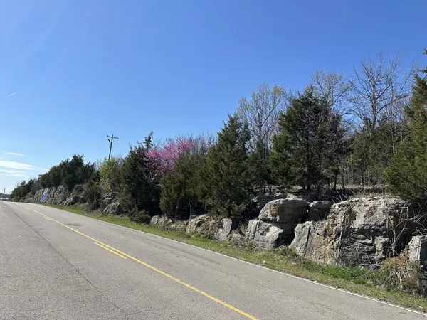 0 Wildcat Way, Lebanon, TN 37090